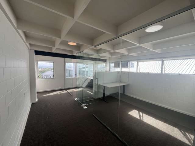 37 Scanlan Street Grey Lynn_1