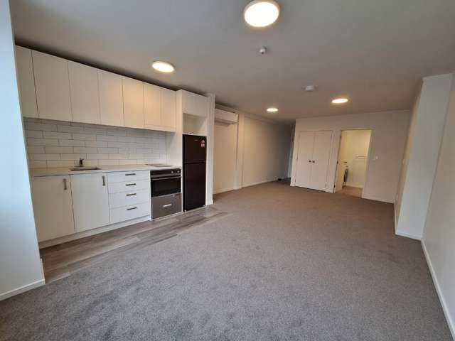 Newly Renovated Spacious Studio