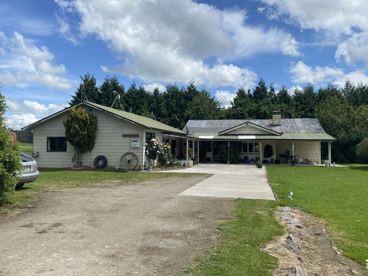 322 Wendon Creek Road Gore Surrounds_13