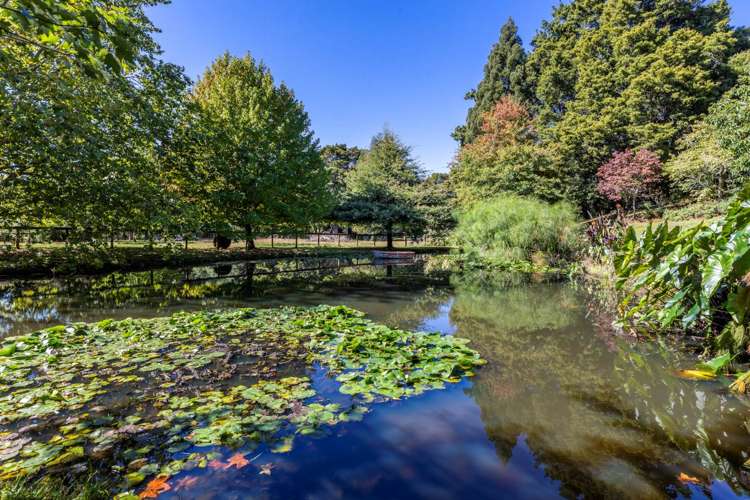 145b Helenslee Road Pokeno_19