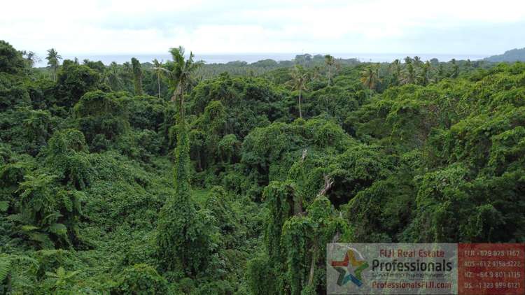 Address withheld Taveuni_13