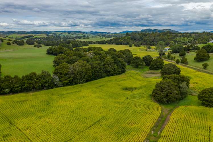 66 O'Neill Road Whakapara_1