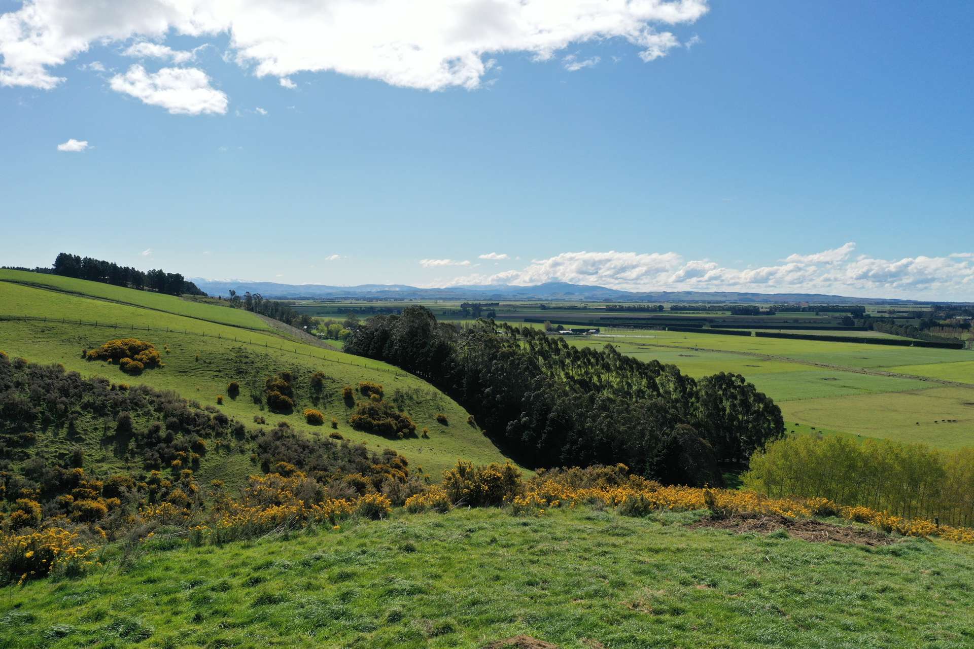 Lot 3 207 Georgetown-Pukeuri Road Oamaru_0