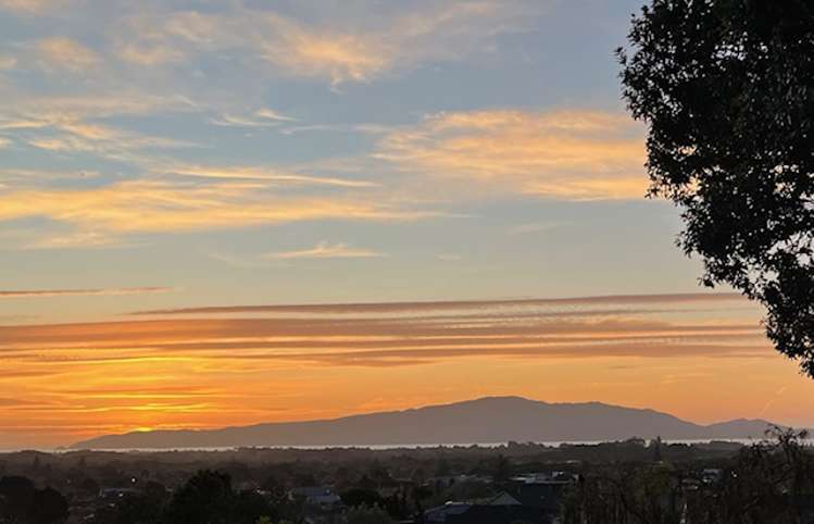 61 Kakariki Grove Waikanae_18