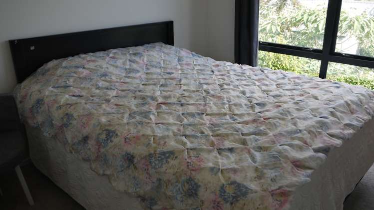 2e Milich Terrace Te Atatu South_7