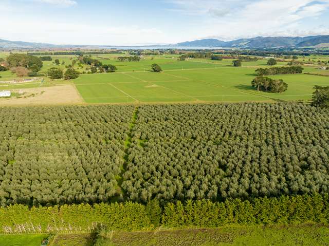 Lot 2/224 State Highway 53 Featherston_4