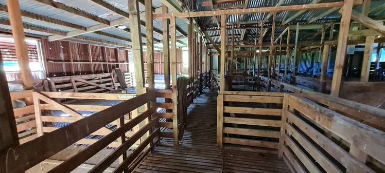 698 Mangaoapa Road Pohokura and Surrounds_21