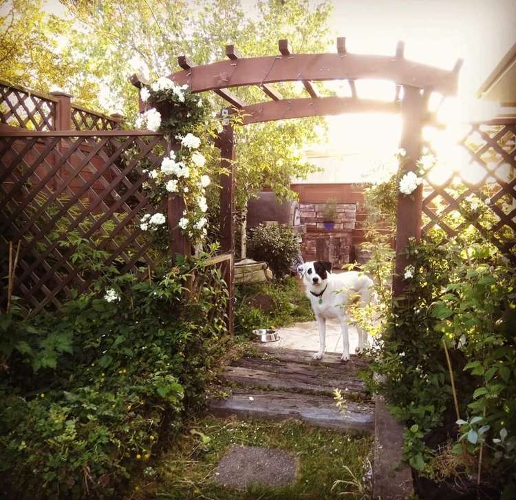 2/57 Solar Road Glen Eden_21