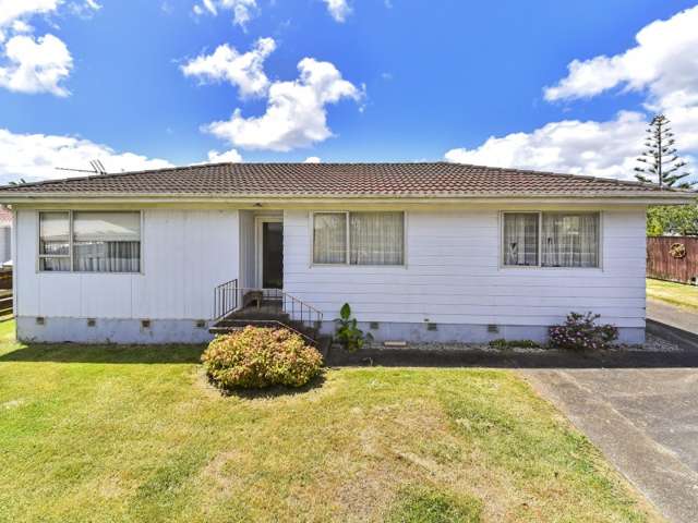 398 Roscommon Road Clendon Park_1