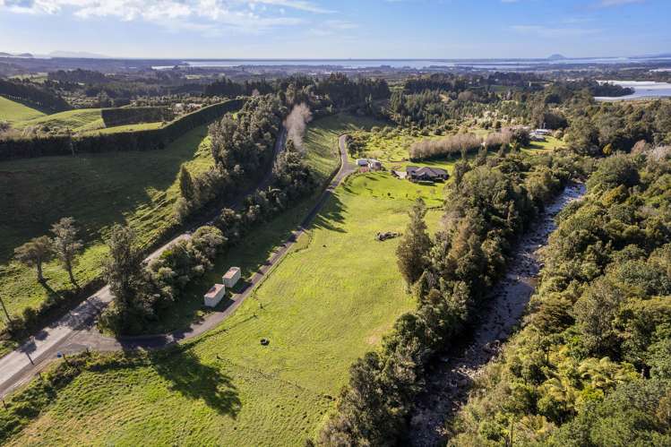 393A Wharawhara Road Katikati_6