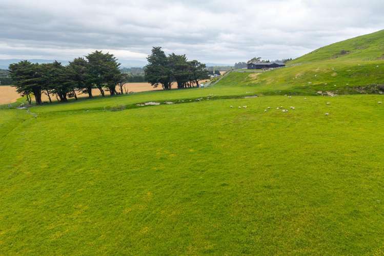 777 Kumeti Road Dannevirke_5