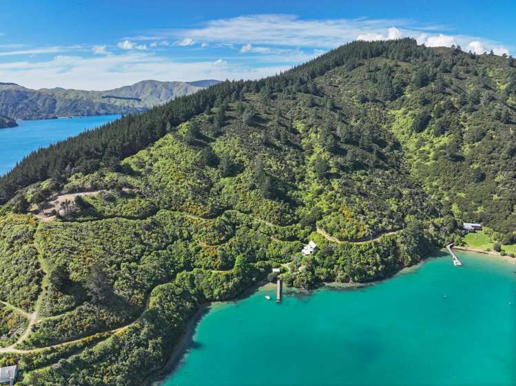 Te Rua Bay Tory Channel_7