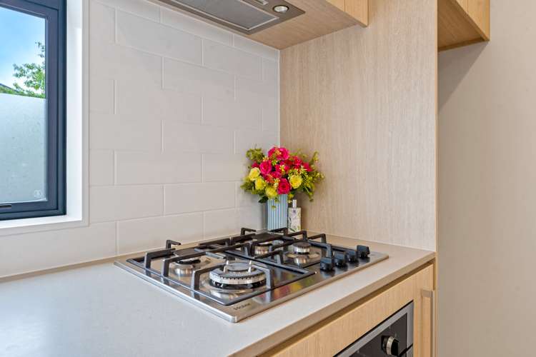 18 Haddington Drive Flat Bush_24