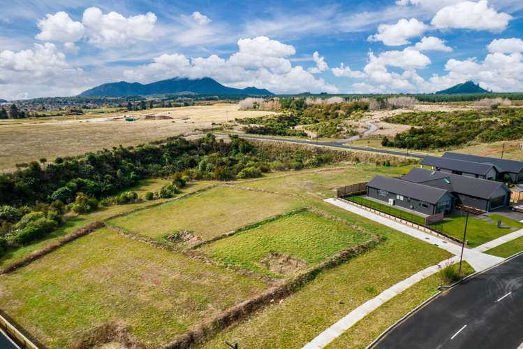 47 Raupo Crescent Wharewaka_2