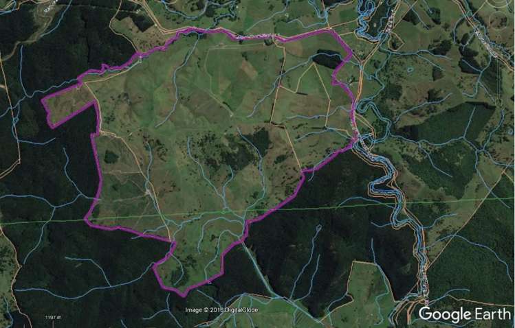 1577 Tangowahine Valley Road Dargaville Surrounds_19