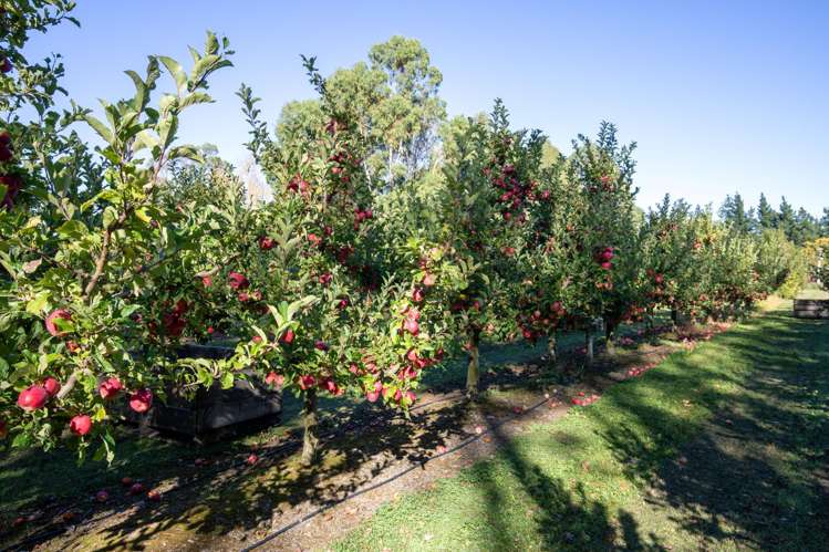 402 Dixons Road Loburn_23