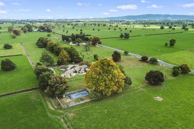 942 Horrell Road Morrinsville_1