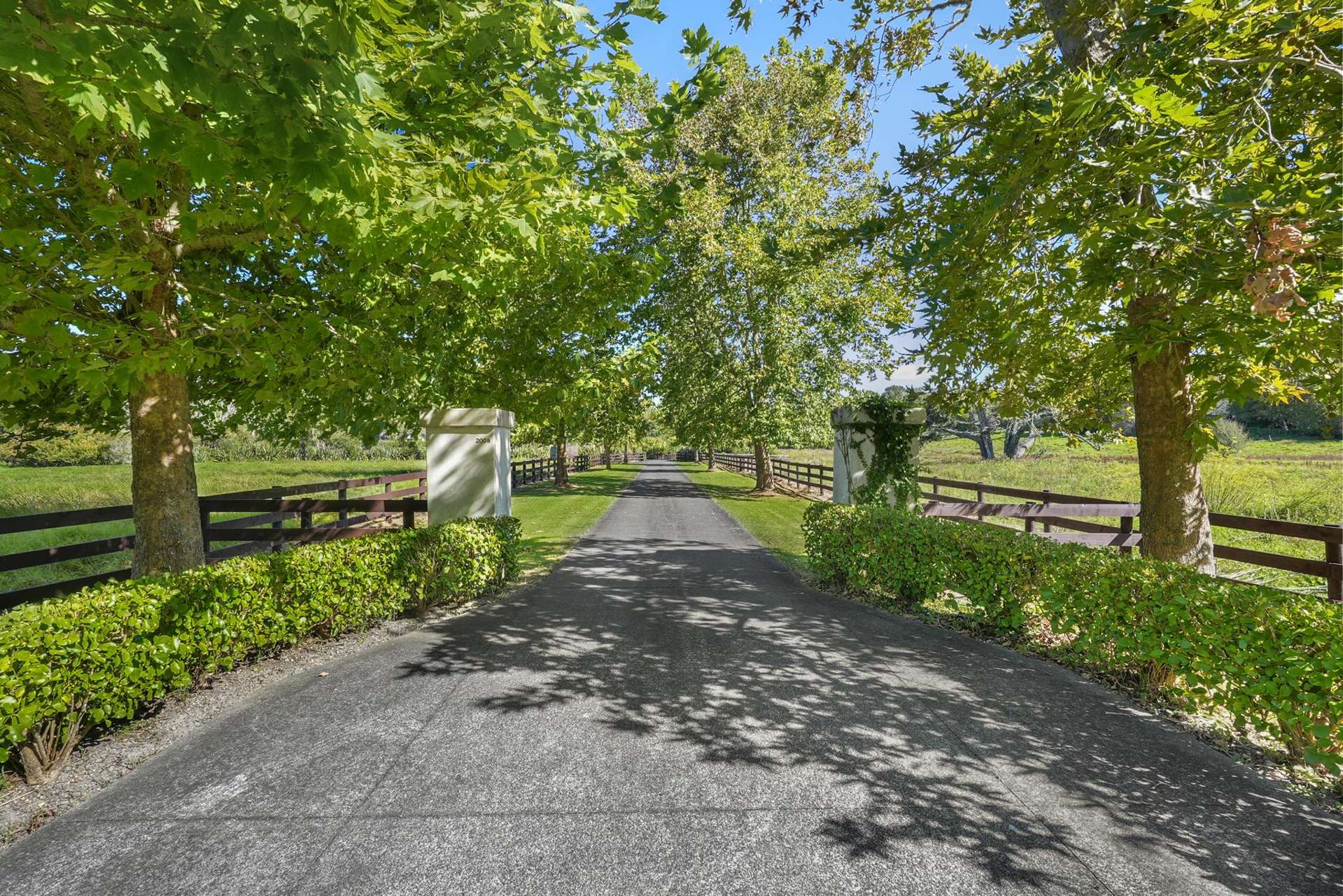 200B Bawden Road Dairy Flat_0