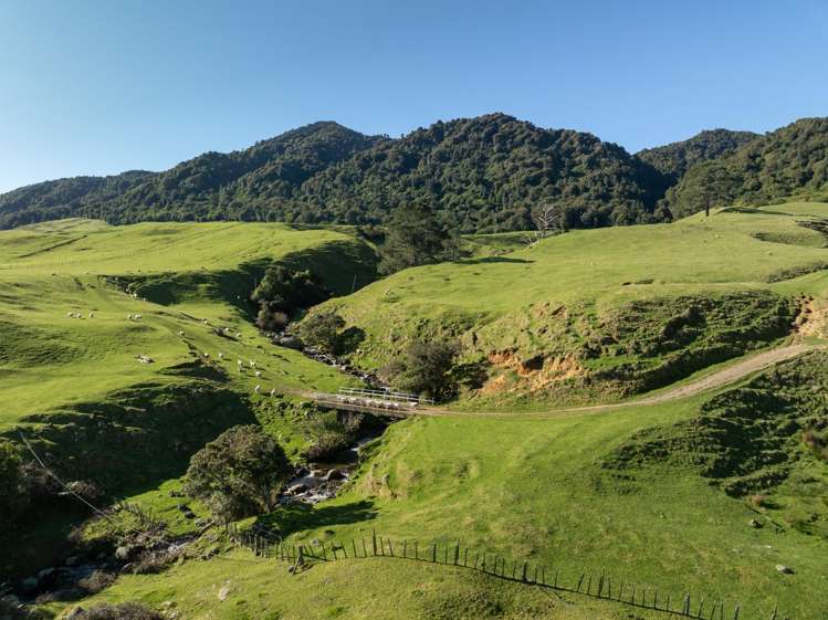 134 Old Te Aroha Road Te Poi_31