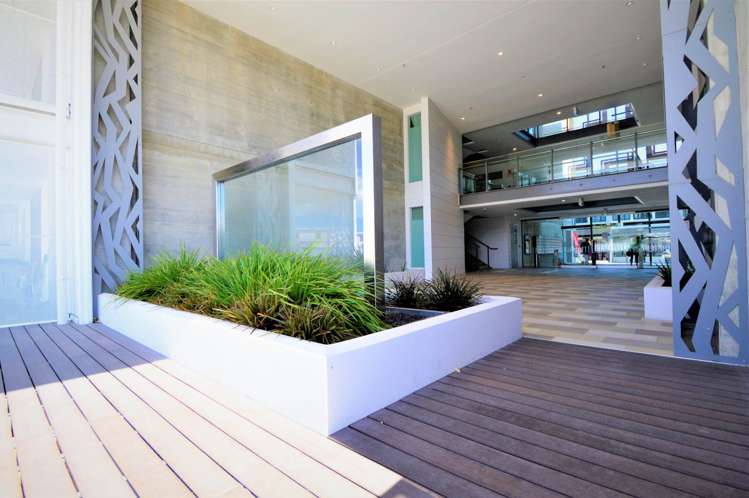 201/27 Enfield Street Mount Eden_18