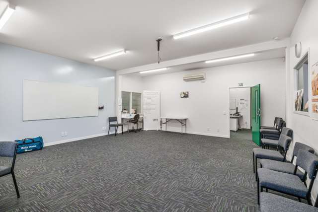 21 Bristol Street Levin_3