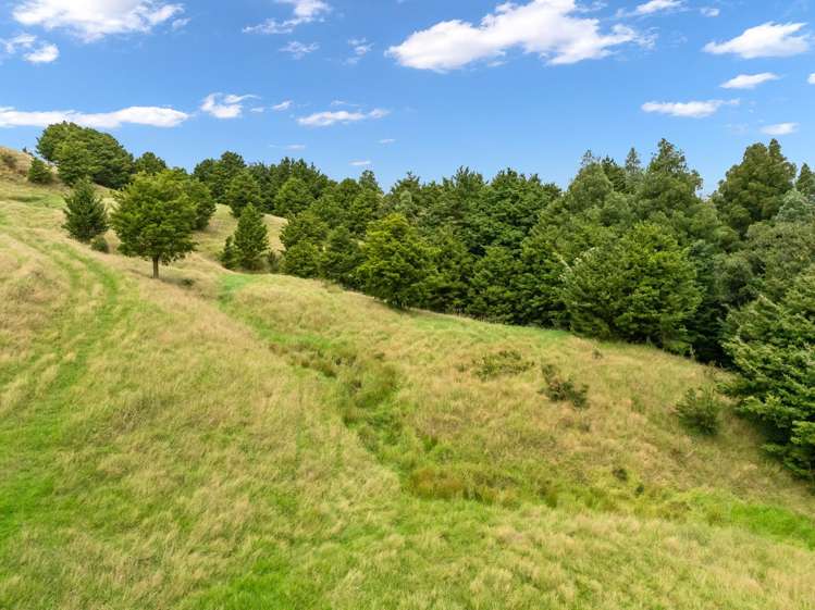 Hayward Road Maungakaramea_11