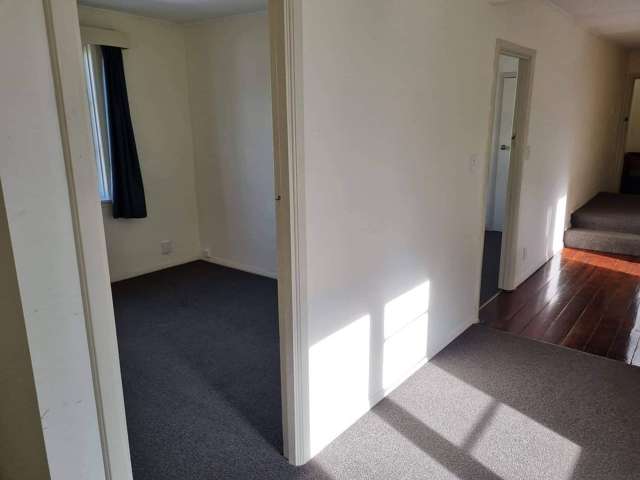 121 Riddiford Street Newtown_4