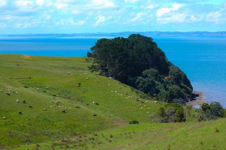 801 Burma Road Tapora_13