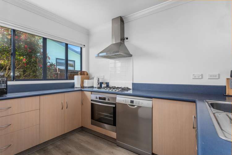 61A Domain Road Whakatane_2