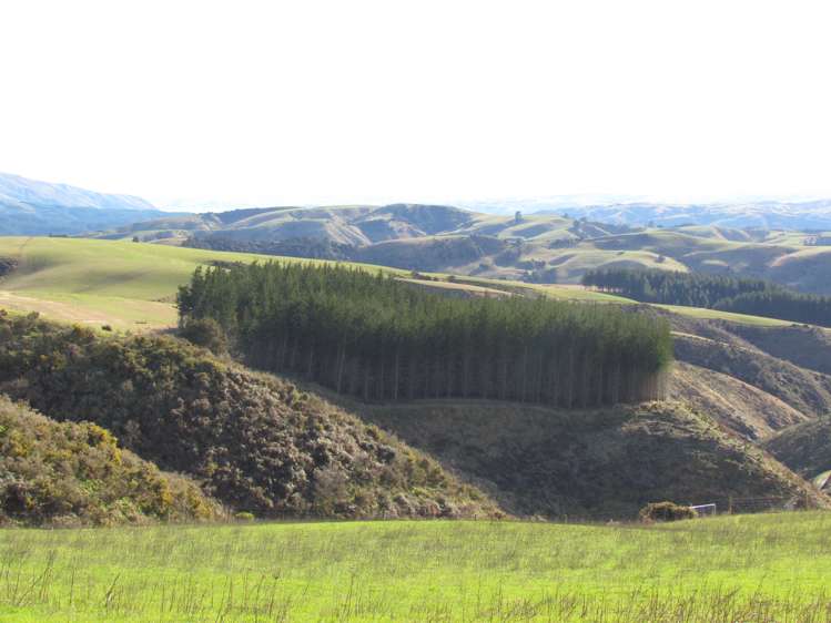 168 Remarkable Road Lawrence_15