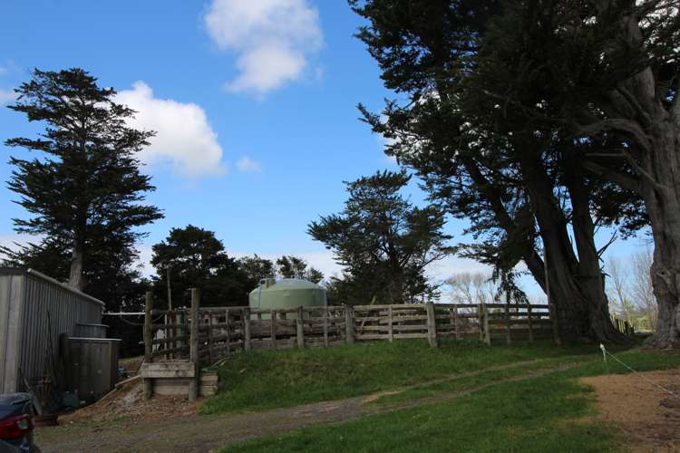 133 Colville Road Dargaville_6