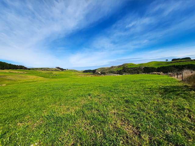 Lot 5 Babylon Coast Road Omamari_2