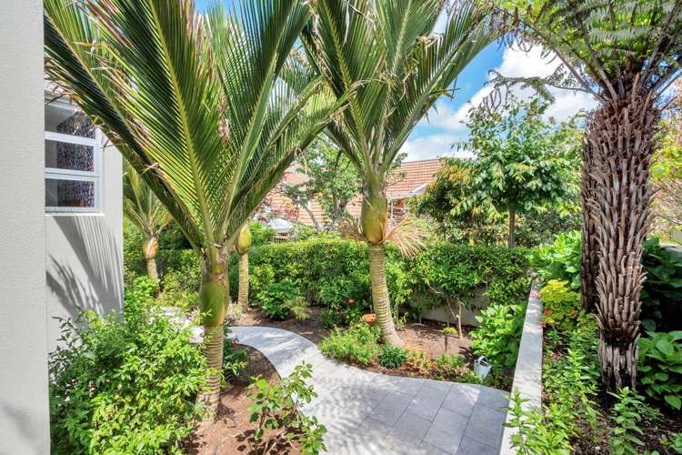 42a Glanville Terrace Parnell_17