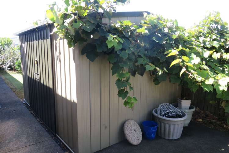 11 Buchanan Street Paeroa_21