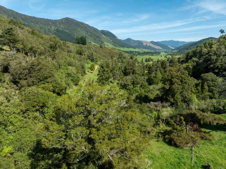 537 Ronga Road Rai Valley_14