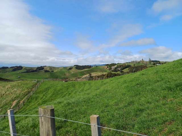 149b Torehape Road West Kaihere_4