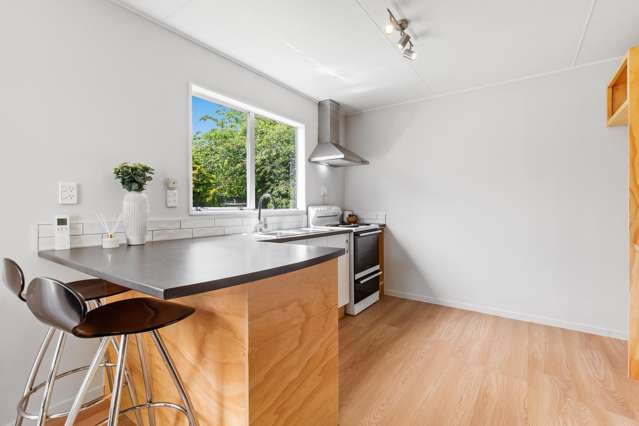 45 Green Avenue Levin_1