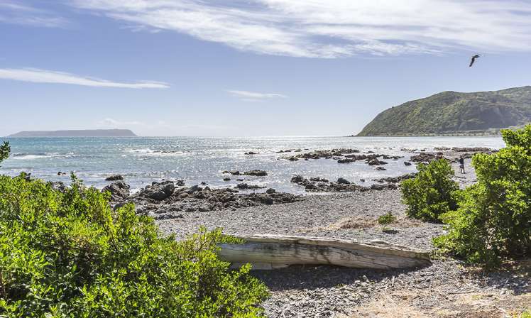 78 Moana Road Plimmerton_17