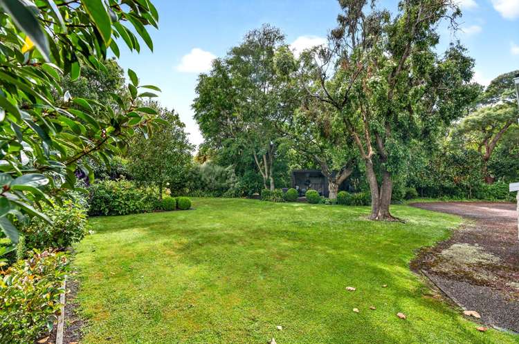 59 Wood Street Greytown_29