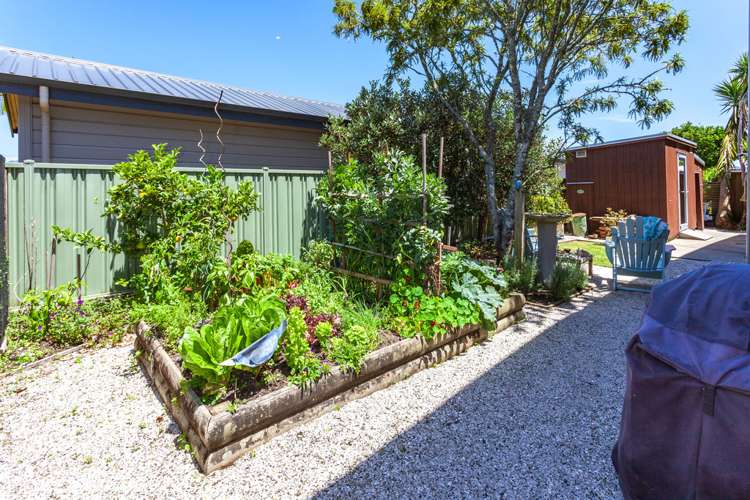 203 Harbour View Road Whangamata_22