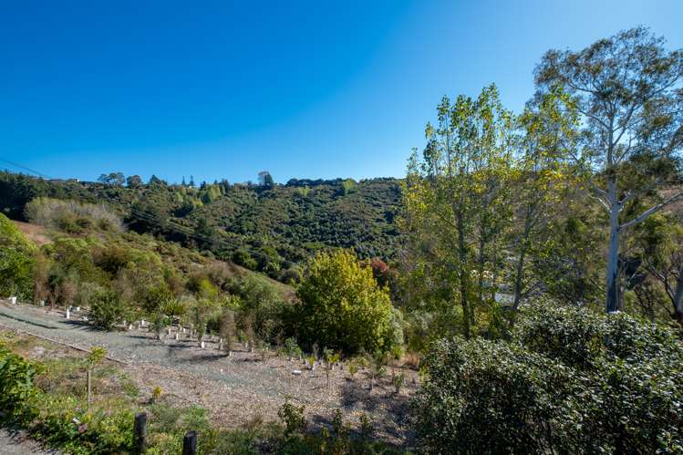 19 Matipo Terrace Toi Toi_8