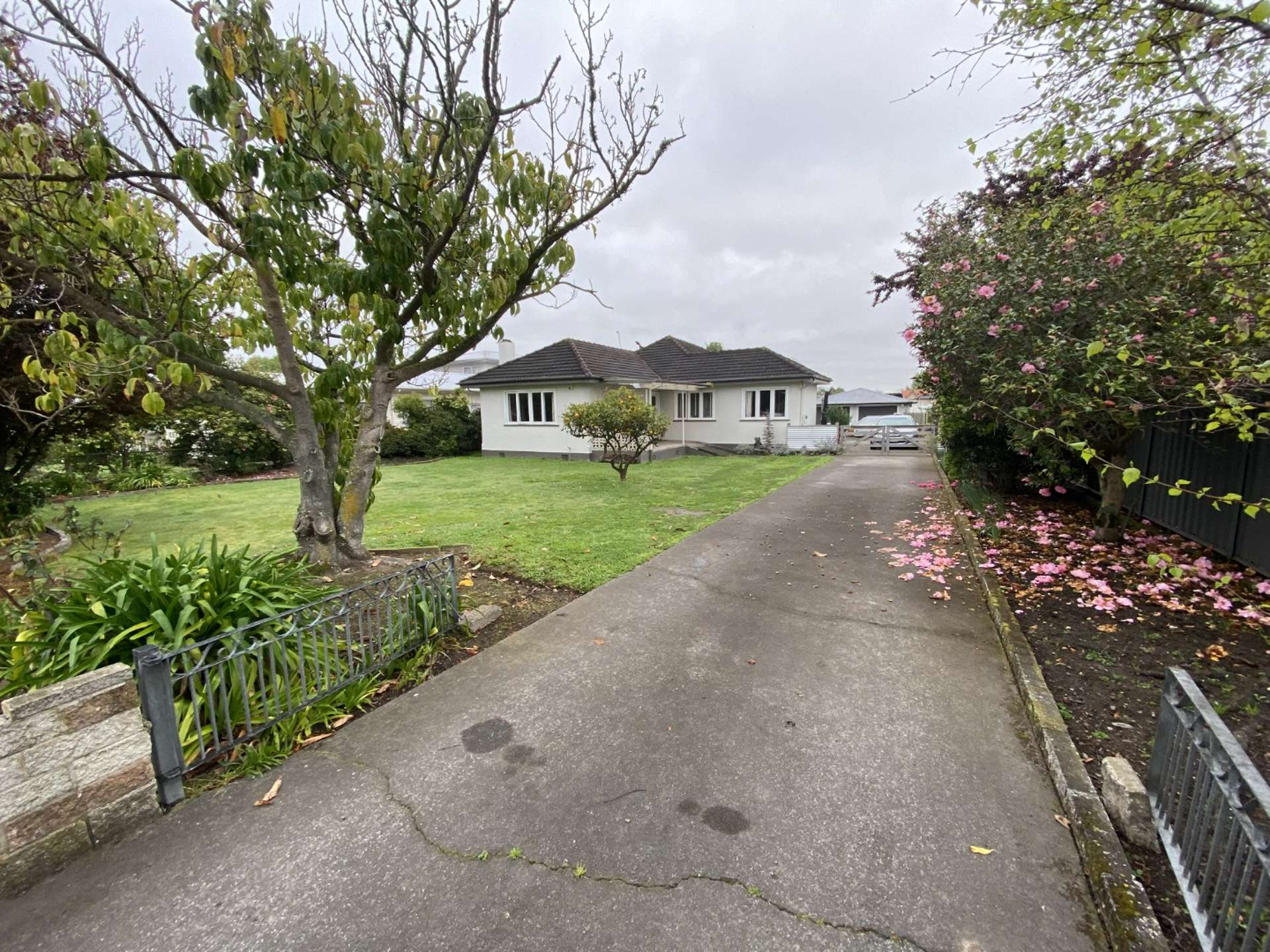 81 Napier Road Havelock North_0