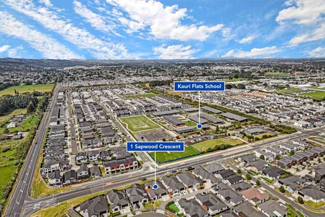 1 Sapwood Crescent Takanini_3