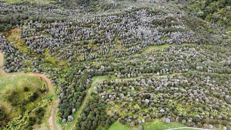 177A Moir Hill Road Puhoi_11