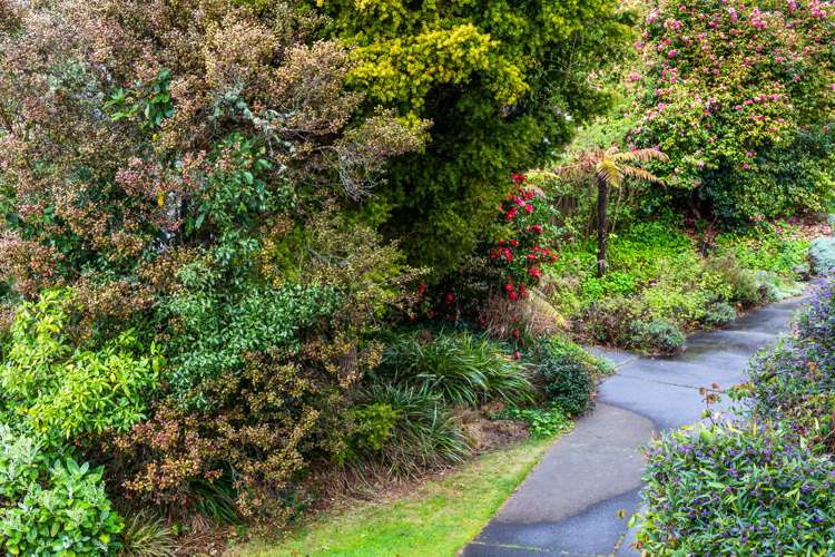 7 Frederick Street Taupo_15