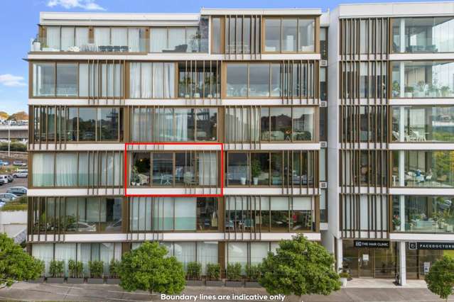 204/10 Saint Marks Road Remuera_2