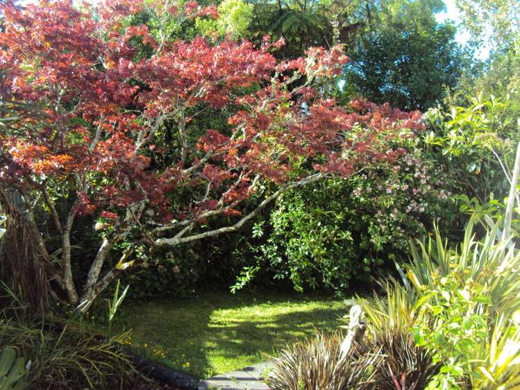 46 Mcgill Street Waimangaroa_13