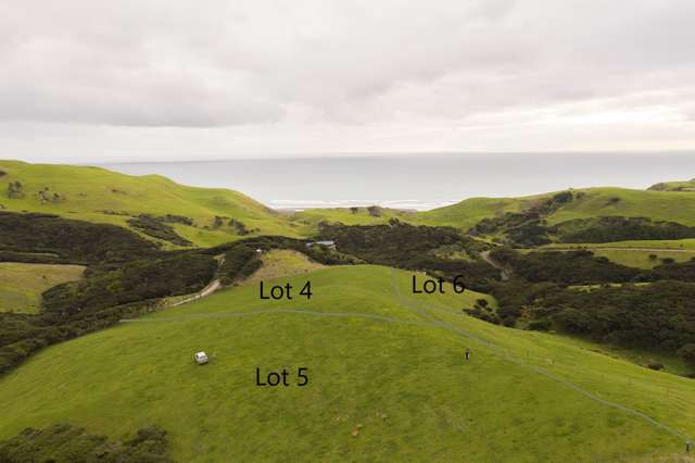 1549 Whaanga Road Raglan_2