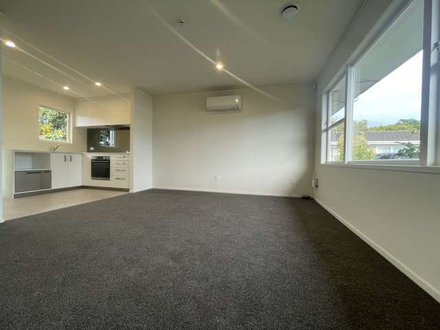 1/14 Innisfree Drive Ellerslie_3
