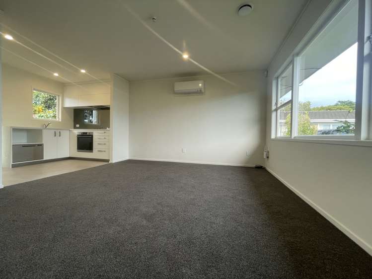 1/14 Innisfree Drive Ellerslie_3